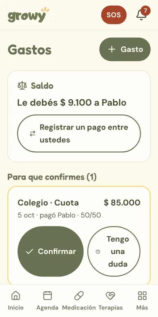 Gastos compartidos con el saldo y un gasto para confirmar