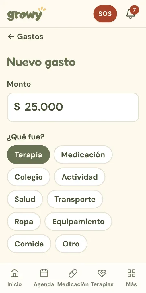Formulario Nuevo gasto con monto y categorías