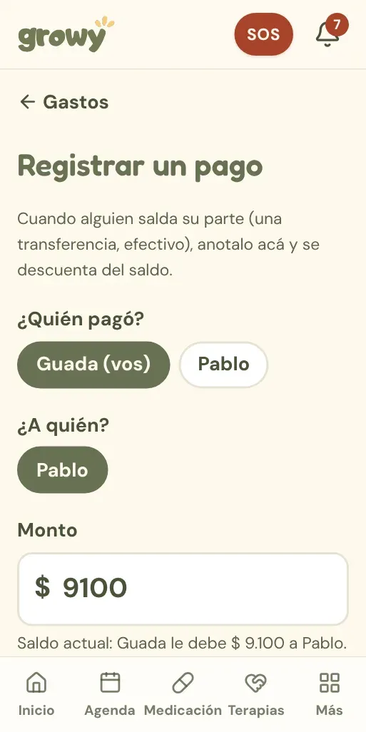 Formulario Registrar un pago con el saldo actual