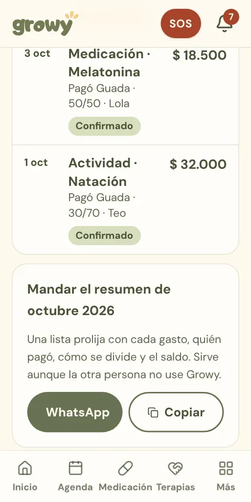 Lista de gastos del mes y botón para mandar el resumen por WhatsApp