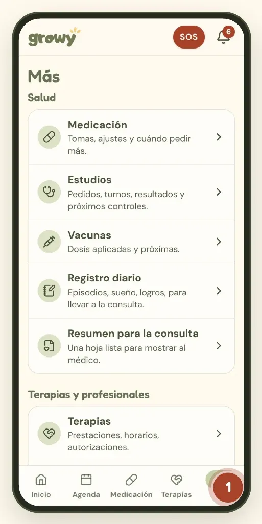 Pantalla Más con todas las secciones agrupadas