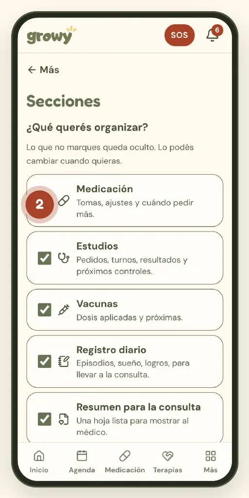 Pantalla Secciones con casillas para elegir qué organizar