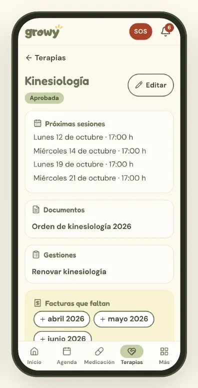 Ficha de la terapia de kinesiología