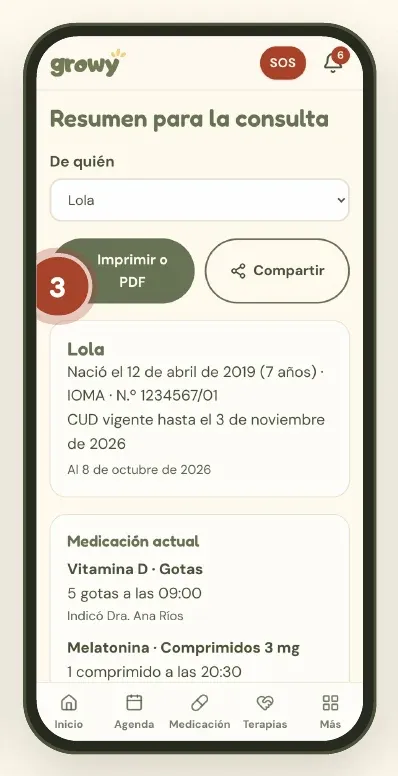 Resumen para la consulta con los botones Imprimir o PDF y Compartir
