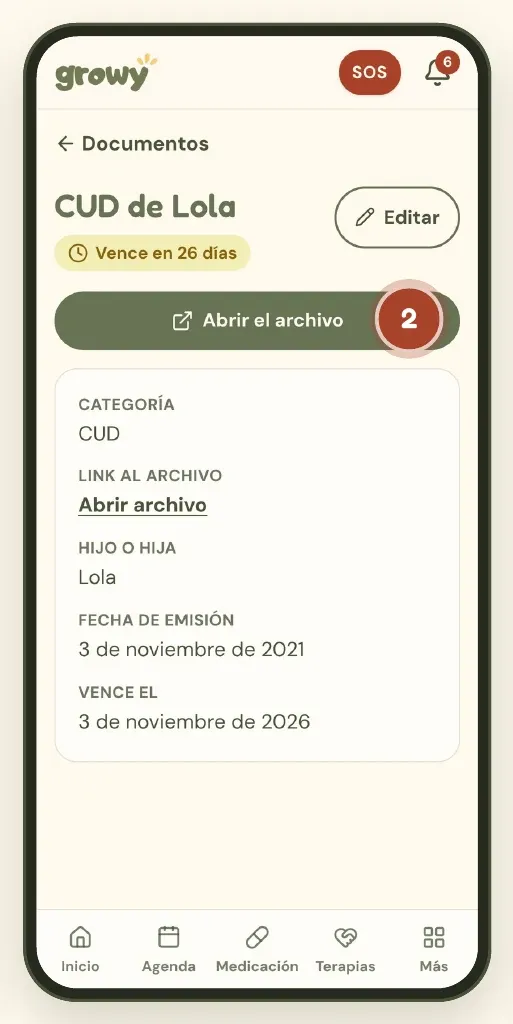 Ficha del CUD con el botón Abrir el archivo
