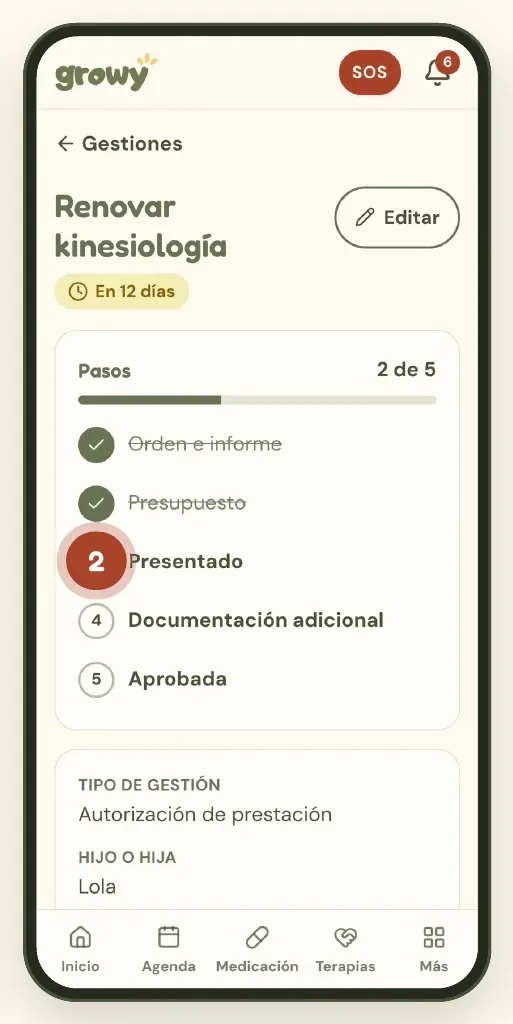 Ficha de una gestión con los pasos