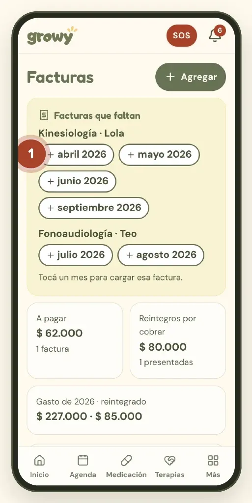 Facturas que faltan por mes y terapia