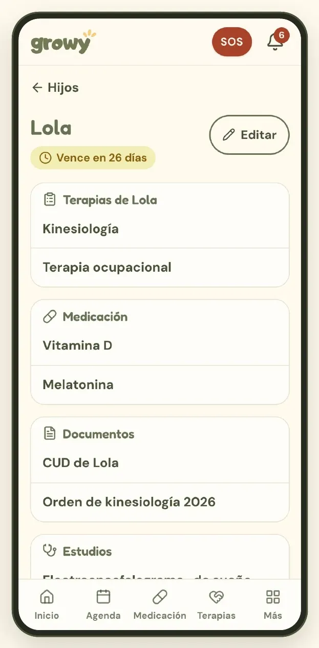 Ficha de una hija con terapias, medicación y documentos